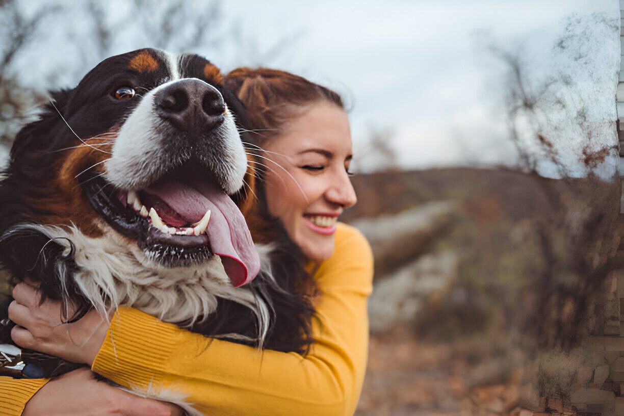 adopt a dog