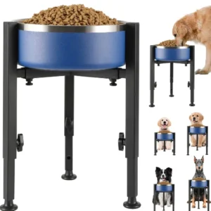 Dog Bowl Stand
